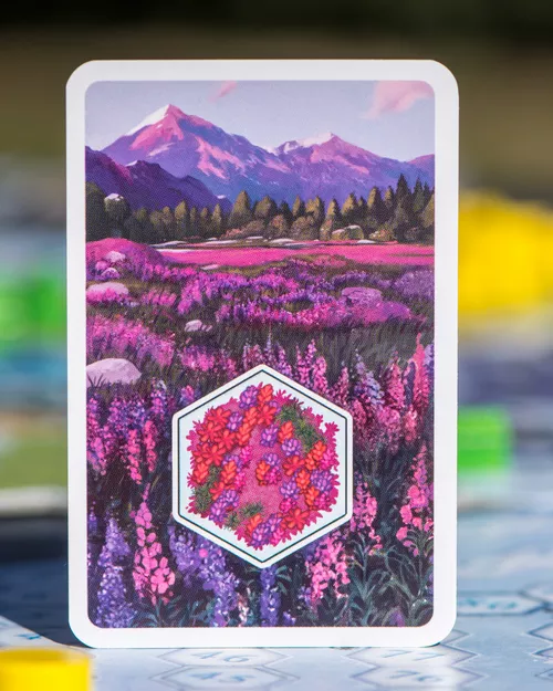 Test du jeu Winter Kingdom carte terrain 2